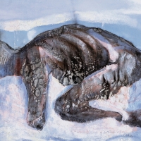 detail